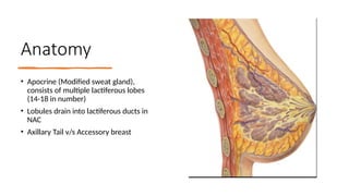 BREAST IMAGING mammography and ultrasound.pptx