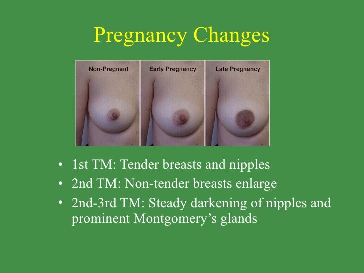 Crusty Nipples Pregnancy 104