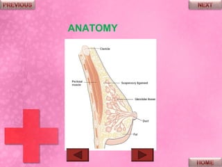ANATOMY
 