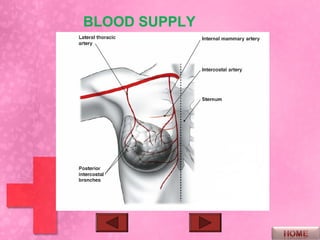 BLOOD SUPPLY
 