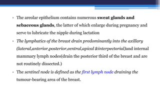 • The areolar epithelium contains numerous sweat glands and
sebaceous glands, the latter of which enlarge during pregnancy and
serve to lubricate the nipple during lactation
• The lymphatics of the breast drain predominantly into the axillary
(lateral,anterior,posterior,central,apical &interpectorial)and internal
mammary lymph nodes(drain the posterior third of the breast and are
not routinely dissected.)
• The sentinel node is defined as the first lymph node draining the
tumour-bearing area of the breast.
 