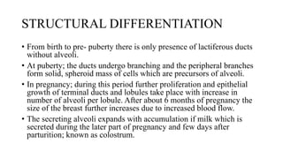 STRUCTURAL DIFFERENTIATION
• From birth to pre- puberty there is only presence of lactiferous ducts
without alveoli.
• At puberty; the ducts undergo branching and the peripheral branches
form solid, spheroid mass of cells which are precursors of alveoli.
• In pregnancy; during this period further proliferation and epithelial
growth of terminal ducts and lobules take place with increase in
number of alveoli per lobule. After about 6 months of pregnancy the
size of the breast further increases due to increased blood flow.
• The secreting alveoli expands with accumulation if milk which is
secreted during the later part of pregnancy and few days after
parturition; known as colostrum.
 
