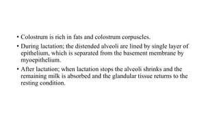 • Colostrum is rich in fats and colostrum corpuscles.
• During lactation; the distended alveoli are lined by single layer of
epithelium, which is separated from the basement membrane by
myoepithelium.
• After lactation; when lactation stops the alveoli shrinks and the
remaining milk is absorbed and the glandular tissue returns to the
resting condition.
 