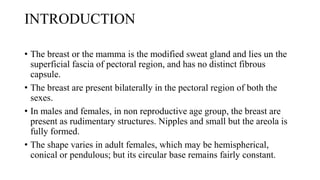 INTRODUCTION
• The breast or the mamma is the modified sweat gland and lies un the
superficial fascia of pectoral region, and has no distinct fibrous
capsule.
• The breast are present bilaterally in the pectoral region of both the
sexes.
• In males and females, in non reproductive age group, the breast are
present as rudimentary structures. Nipples and small but the areola is
fully formed.
• The shape varies in adult females, which may be hemispherical,
conical or pendulous; but its circular base remains fairly constant.
 