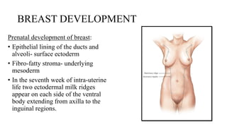 BREAST DEVELOPMENT
Prenatal development of breast:
• Epithelial lining of the ducts and
alveoli- surface ectoderm
• Fibro-fatty stroma- underlying
mesoderm
• In the seventh week of intra-uterine
life two ectodermal milk ridges
appear on each side of the ventral
body extending from axilla to the
inguinal regions.
 