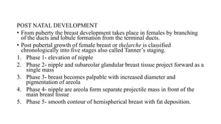 POST NATAL DEVELOPMENT
• From puberty the breast development takes place in females by branching
of the ducts and lobule formation from the terminal ducts.
• Post pubertal growth of female breast or thelarche is classified
chronologically into five stages also called Tanner’s staging.
1. Phase 1- elevation of nipple
2. Phase 2- nipple and subareolar glandular breast tissue project forward as a
single mass
3. Phase 3- breast becomes palpable with increased diameter and
pigmentation of areola
4. Phase 4- nipple are areola form separate projectile mass in front of the
main breast tissue
5. Phase 5- smooth contour of hemispherical breast with fat deposition.
 