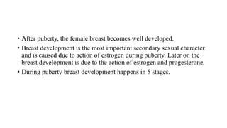 • After puberty, the female breast becomes well developed.
• Breast development is the most important secondary sexual character
and is caused due to action of estrogen during puberty. Later on the
breast development is due to the action of estrogen and progesterone.
• During puberty breast development happens in 5 stages.
 