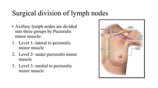 Surgical division of lymph nodes
• Axillary lymph nodes are divided
into three groups by Pectoralis
minor muscle-
1. Level 1- lateral to pectoralis
minor muscle
2. Level 2- under pectoralis minor
muscle
3. Level 3- medial to pectoralis
minor muscle
 