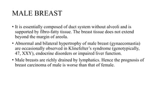 MALE BREAST
• It is essentially composed of duct system without alveoli and is
supported by fibro-fatty tissue. The breast tissue does not extend
beyond the margin of areola.
• Abnormal and bilateral hypertrophy of male breast (gynaecomastia)
are occasionally observed in Klinefelter’s syndrome (genotypically,
47, XXY), endocrine disorders or impaired liver function.
• Male breasts are richly drained by lymphatics. Hence the prognosis of
breast carcinoma of male is worse than that of female.
 