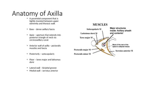 breast surgery, general surgery, cancers | PPTX