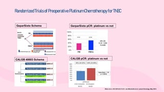 neoadjuvant chemotherapy in TNBC and BRCA mutated BREAST CANCER | PPTX