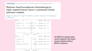 neoadjuvant chemotherapy in TNBC and BRCA mutated BREAST CANCER | PPTX