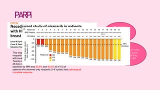 neoadjuvant chemotherapy in TNBC and BRCA mutated BREAST CANCER | PPTX