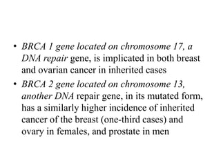 • BRCA 1 gene located on chromosome 17, a
DNA repair gene, is implicated in both breast
and ovarian cancer in inherited cases
• BRCA 2 gene located on chromosome 13,
another DNA repair gene, in its mutated form,
has a similarly higher incidence of inherited
cancer of the breast (one-third cases) and
ovary in females, and prostate in men
 