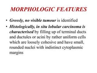 MORPHOLOGIC FEATURES
• Grossly, no visible tumour is identified
• Histologically, in situ lobular carcinoma is
characterised by filling up of terminal ducts
and ductules or acini by rather uniform cells
which are loosely cohesive and have small,
rounded nuclei with indistinct cytoplasmic
margins
 