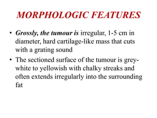 MORPHOLOGIC FEATURES
• Grossly, the tumour is irregular, 1-5 cm in
diameter, hard cartilage-like mass that cuts
with a grating sound
• The sectioned surface of the tumour is grey-
white to yellowish with chalky streaks and
often extends irregularly into the surrounding
fat
 