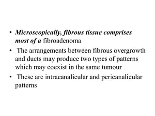 • Microscopically, fibrous tissue comprises
most of a fibroadenoma
• The arrangements between fibrous overgrowth
and ducts may produce two types of patterns
which may coexist in the same tumour
• These are intracanalicular and pericanalicular
patterns
 