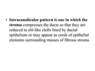 • Intracanalicular pattern is one in which the
stroma compresses the ducts so that they are
reduced to slit-like clefts lined by ductal
epithelium or may appear as cords of epithelial
elements surrounding masses of fibrous stroma
 