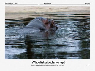 15
|
Breathe
Manage Train Learn Power Pics
Whodisturbedmynap?
https://www.flickr.com/photos/rexness/4391757918/
 