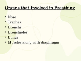 Organs that Involved in Breathing
• Nose
• Trachea
• Bronchi
• Bronchioles
• Lungs
• Muscles along with diaphragm
 
