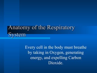 Anatomy of the Respiratory System Every cell in the body must breathe by taking in Oxygen, generating energy, and expelling Carbon Dioxide. 