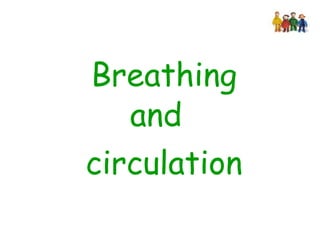 Breathing and circulation 