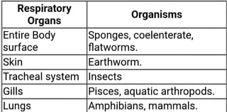 Respiratory
Organs
Entire Body
surface
Skin
Tracheal system
Gills
Lungs
Organisms
Sponges, coelenterate,
flatworms.
Earthworm.
Insects
Pisces, aquatic arthropods.
Amphibians,mammals.
 