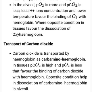 BREATHING AND EXCHANGE OF GASES .pdf | Lung and Respiratory Health ...