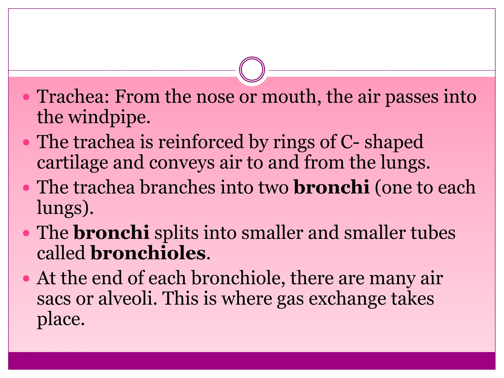  Trachea: From the nose or mouth, the air passes into
the windpipe.
 The trachea is reinforced by rings of C- shaped
cartilage and conveys air to and from the lungs.
 The trachea branches into two bronchi (one to each
lungs).
 The bronchi splits into smaller and smaller tubes
called bronchioles.
 At the end of each bronchiole, there are many air
sacs or alveoli. This is where gas exchange takes
place.
 