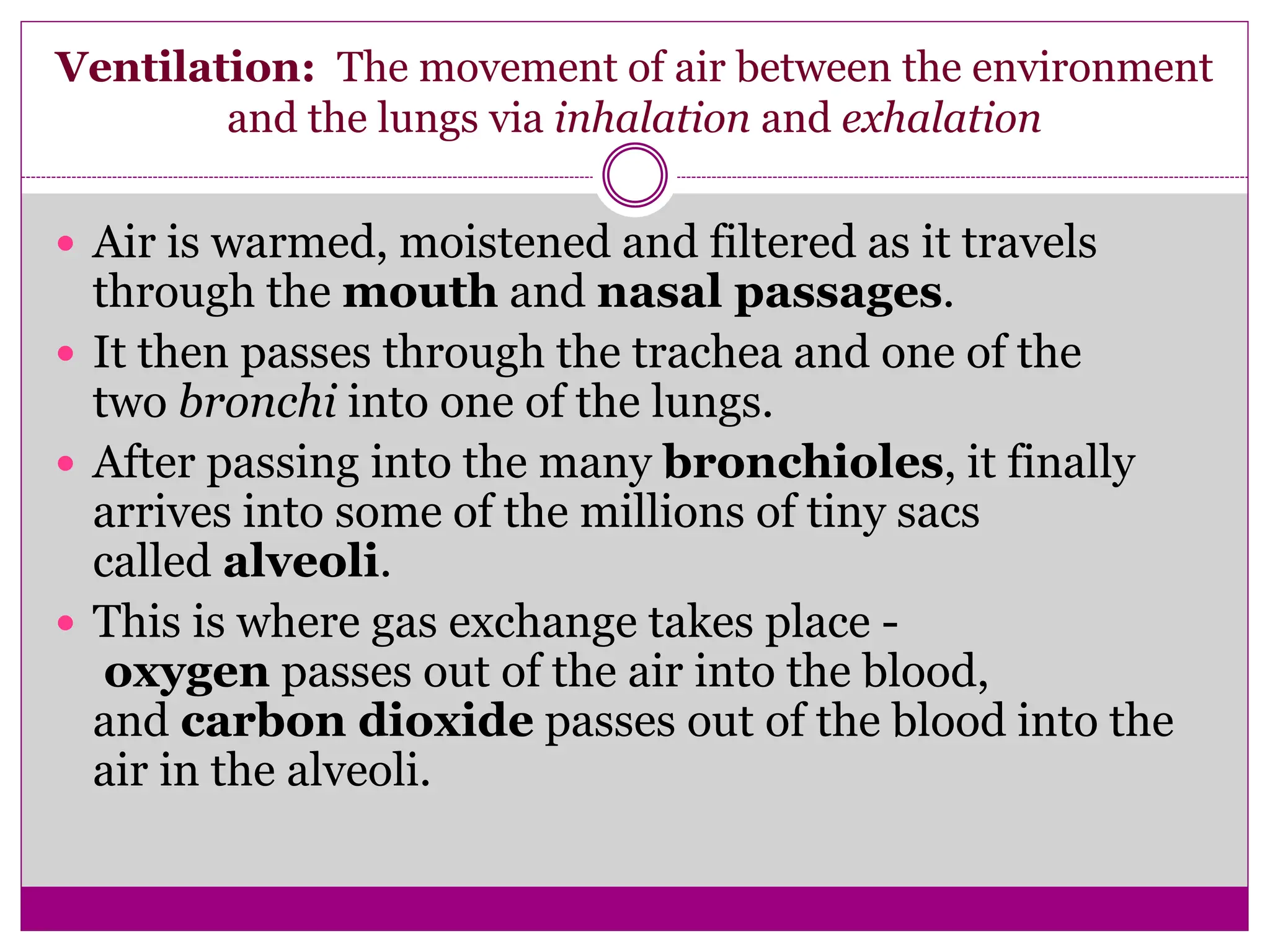 Ventilation: The movement of air between the environment
and the lungs via inhalation and exhalation
 Air is warmed, moistened and filtered as it travels
through the mouth and nasal passages.
 It then passes through the trachea and one of the
two bronchi into one of the lungs.
 After passing into the many bronchioles, it finally
arrives into some of the millions of tiny sacs
called alveoli.
 This is where gas exchange takes place -
oxygen passes out of the air into the blood,
and carbon dioxide passes out of the blood into the
air in the alveoli.
 