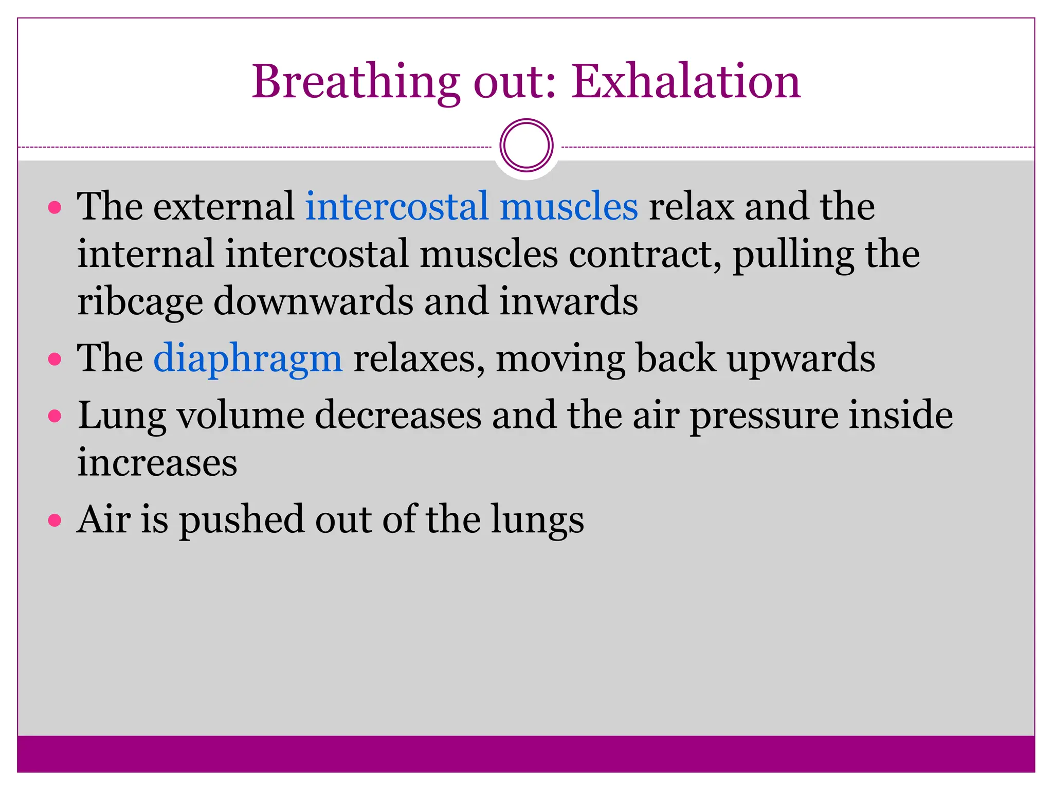 Breathing out: Exhalation
 The external intercostal muscles relax and the
internal intercostal muscles contract, pulling the
ribcage downwards and inwards
 The diaphragm relaxes, moving back upwards
 Lung volume decreases and the air pressure inside
increases
 Air is pushed out of the lungs
 