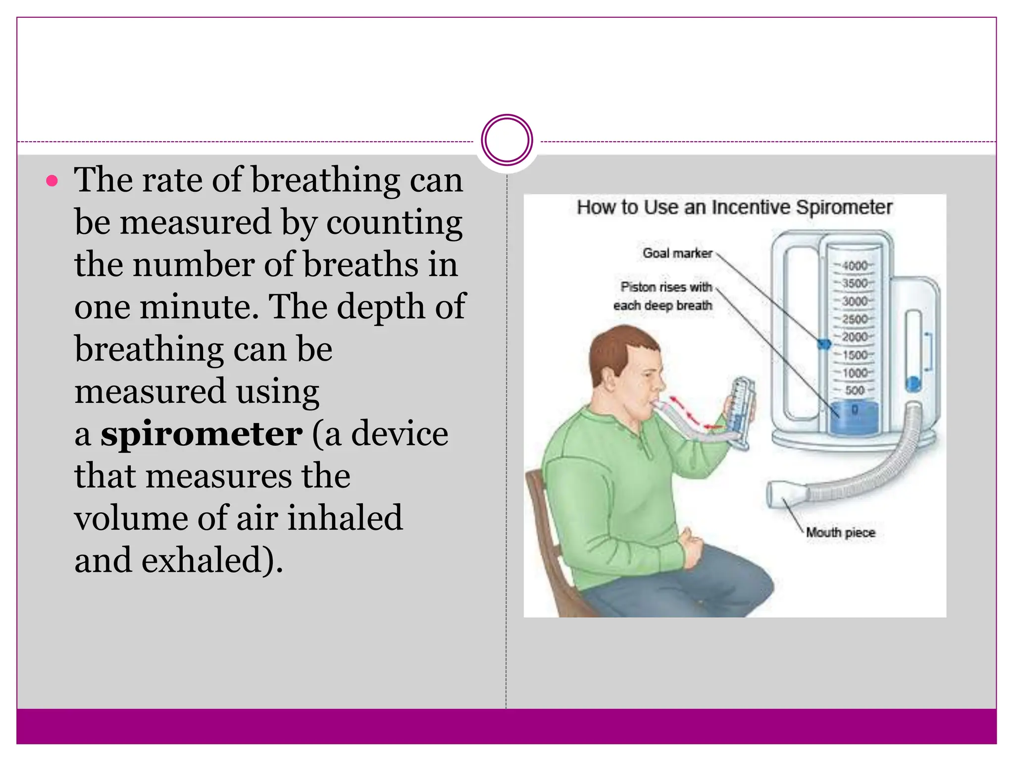  The rate of breathing can
be measured by counting
the number of breaths in
one minute. The depth of
breathing can be
measured using
a spirometer (a device
that measures the
volume of air inhaled
and exhaled).
 