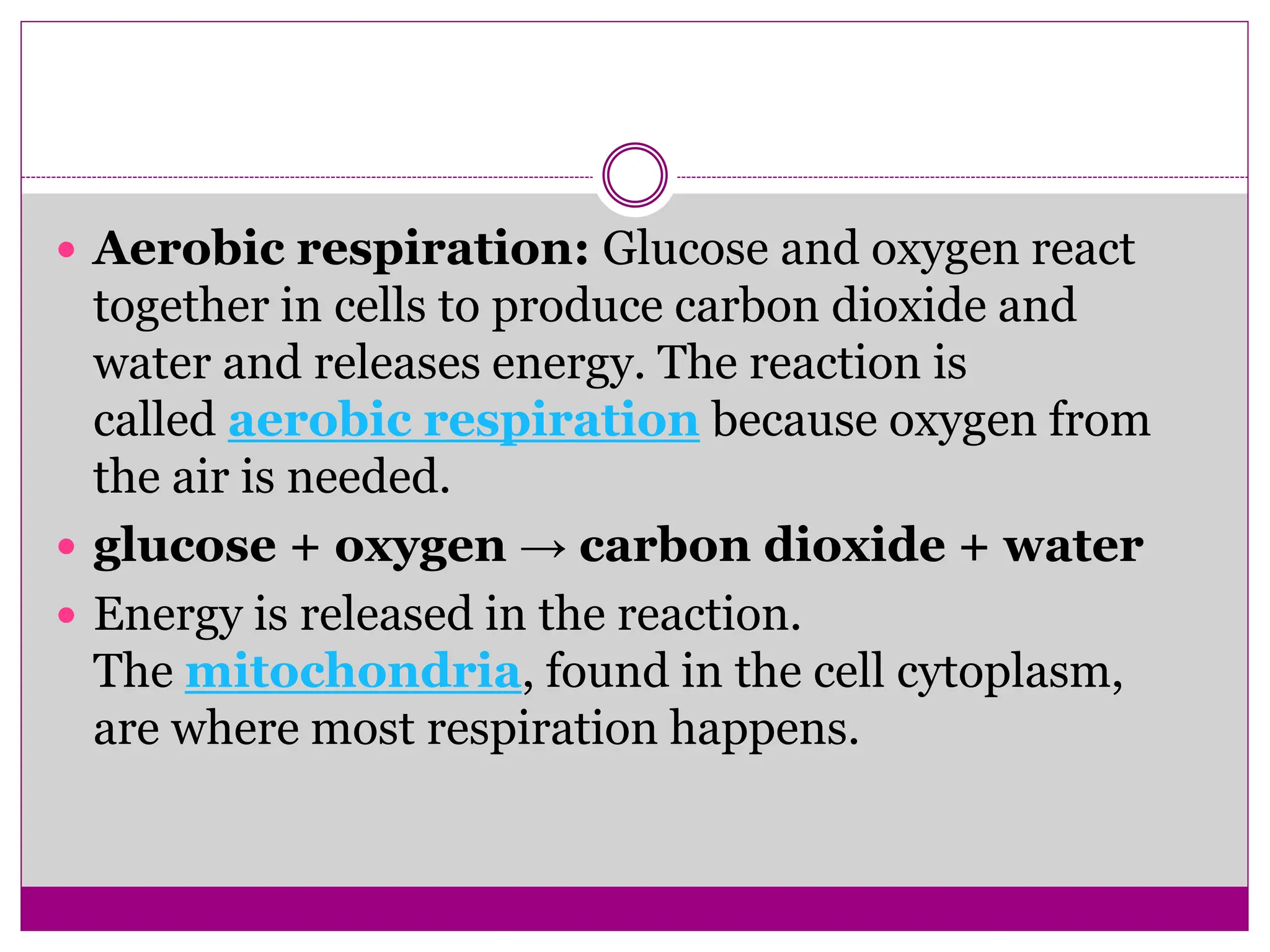  Aerobic respiration: Glucose and oxygen react
together in cells to produce carbon dioxide and
water and releases energy. The reaction is
called aerobic respiration because oxygen from
the air is needed.
 glucose + oxygen → carbon dioxide + water
 Energy is released in the reaction.
The mitochondria, found in the cell cytoplasm,
are where most respiration happens.
 
