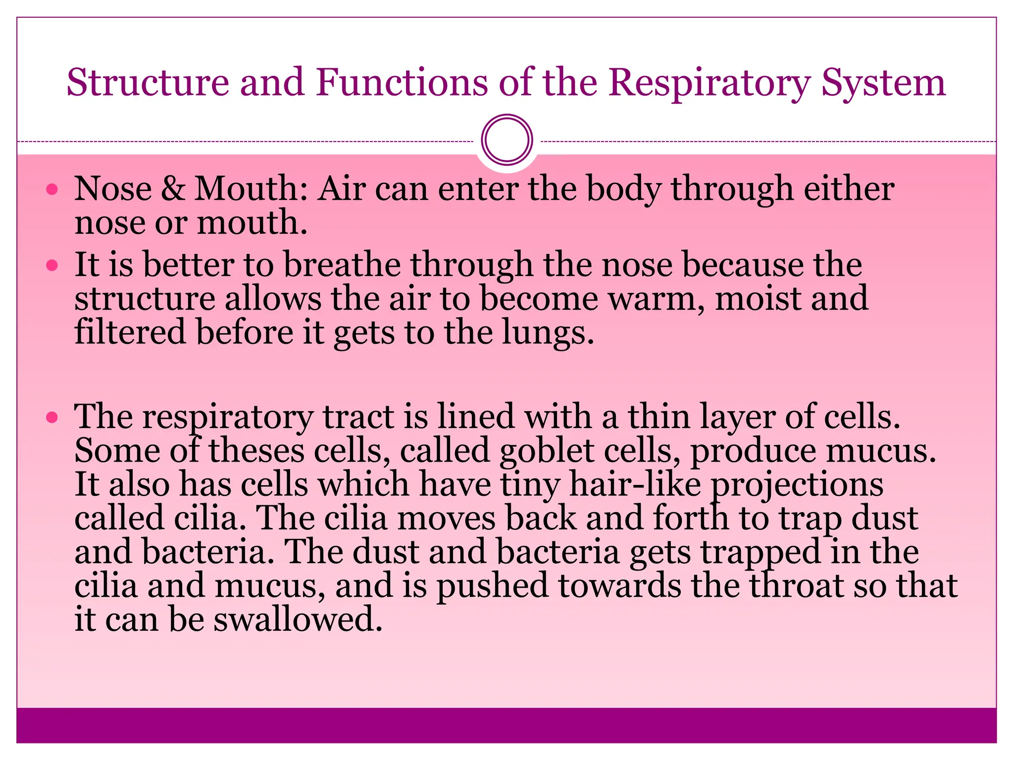 Structure and Functions of the Respiratory System
 Nose & Mouth: Air can enter the body through either
nose or mouth.
 It is better to breathe through the nose because the
structure allows the air to become warm, moist and
filtered before it gets to the lungs.
 The respiratory tract is lined with a thin layer of cells.
Some of theses cells, called goblet cells, produce mucus.
It also has cells which have tiny hair-like projections
called cilia. The cilia moves back and forth to trap dust
and bacteria. The dust and bacteria gets trapped in the
cilia and mucus, and is pushed towards the throat so that
it can be swallowed.
 