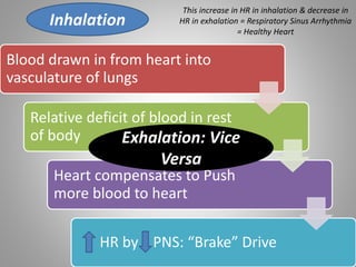Blood drawn in from heart into
vasculature of lungs
Relative deficit of blood in rest
of body
Heart compensates to Push
more blood to heart
HR by PNS: “Brake” Drive
Inhalation
Exhalation: Vice
Versa
This increase in HR in inhalation & decrease in
HR in exhalation = Respiratory Sinus Arrhythmia
= Healthy Heart
 