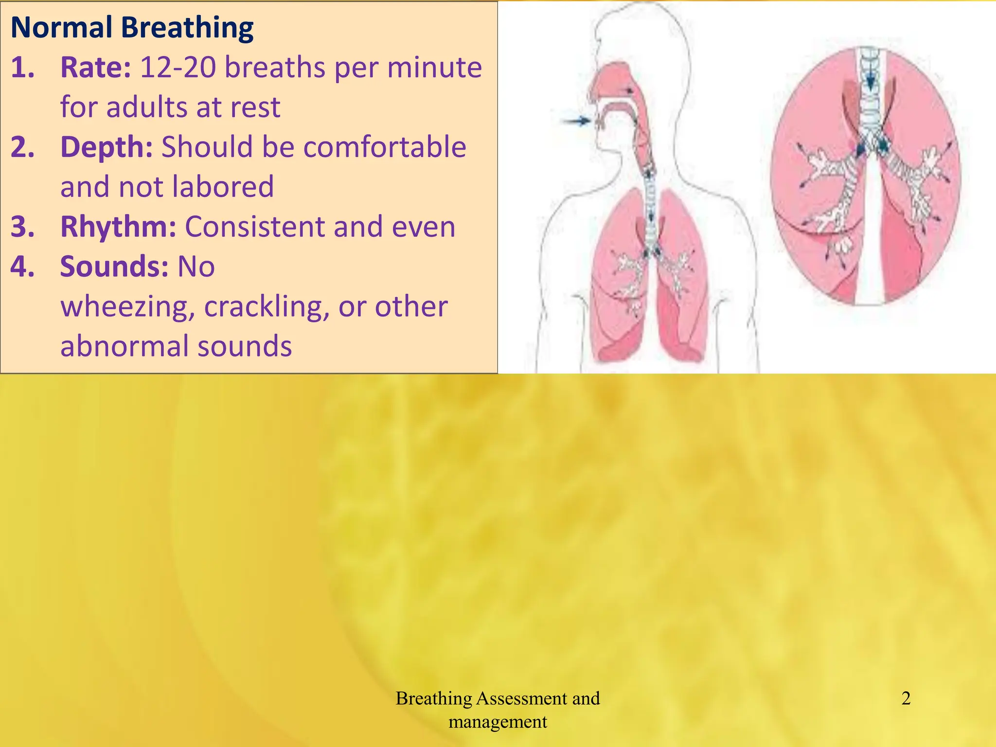 Pals Breathing Assessment: Improve Your Scores Today! - jdngvr7