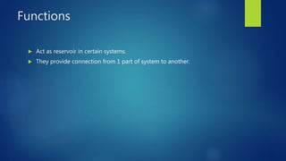 Functions
 Act as reservoir in certain systems.
 They provide connection from 1 part of system to another.
 