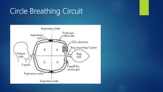 Circle Breathing Circuit
 