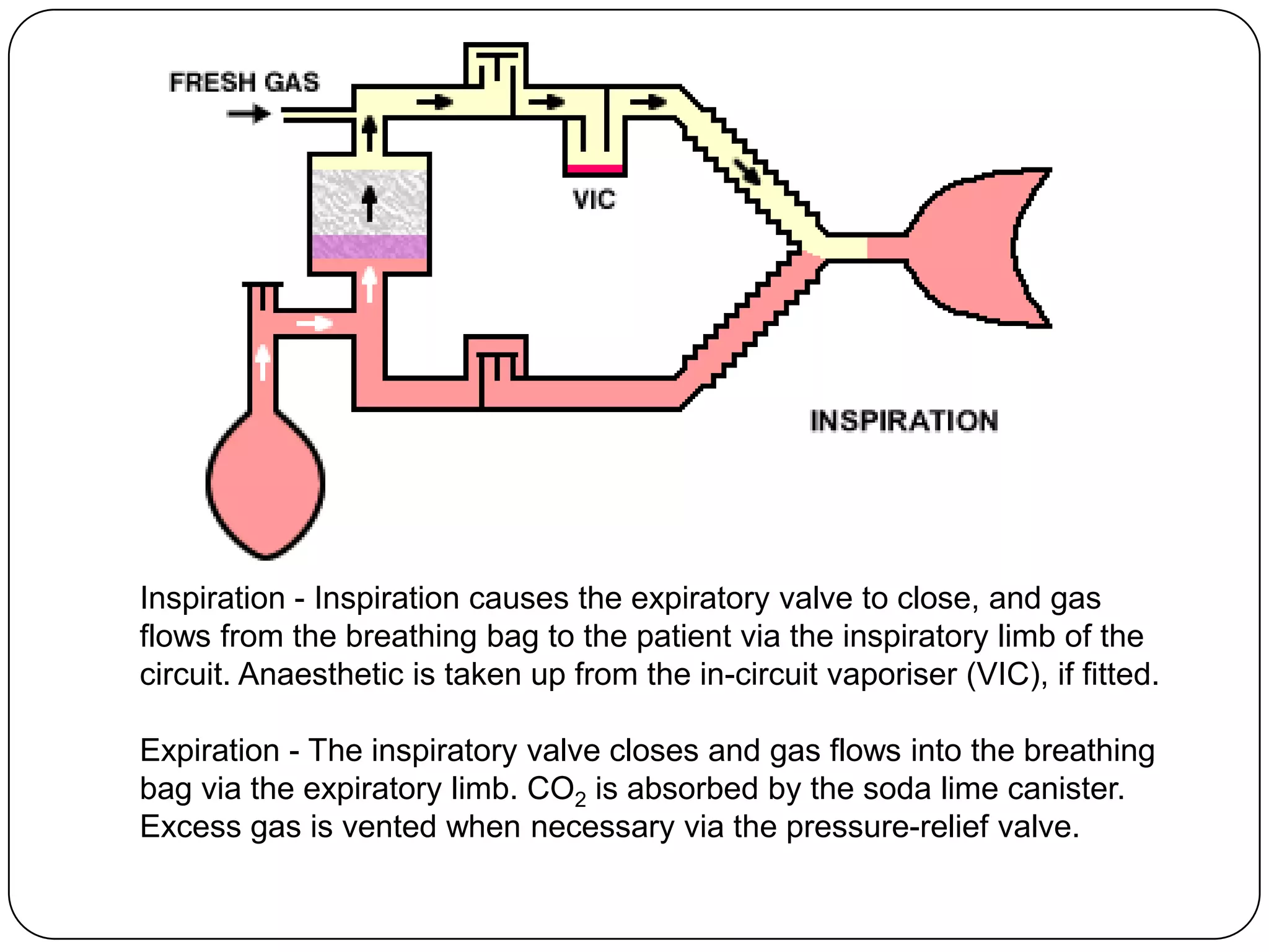 Inspiration - Inspiration causes the expiratory valve to close, and gas
flows from the breathing bag to the patient via the inspiratory limb of the
circuit. Anaesthetic is taken up from the in-circuit vaporiser (VIC), if fitted.
Expiration - The inspiratory valve closes and gas flows into the breathing
bag via the expiratory limb. CO2 is absorbed by the soda lime canister.
Excess gas is vented when necessary via the pressure-relief valve.
 
