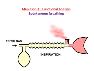 Mapleson A : Functional Analysis
Spontaneous breathing
 