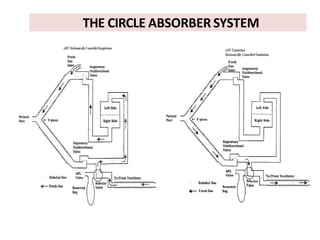 THE CIRCLE ABSORBER SYSTEM
 
