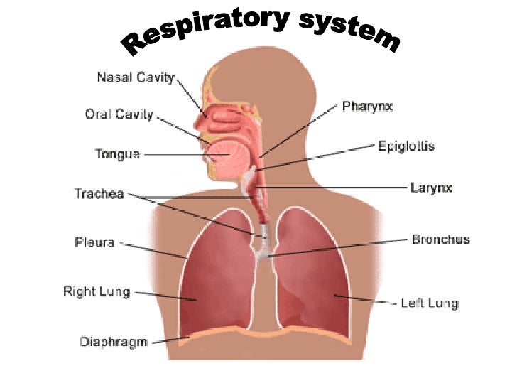 Breathing exercise for health