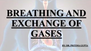 BREATHING AND
EXCHANGE OF
GASES
BY: DR. PRITIMA GUPTA
 