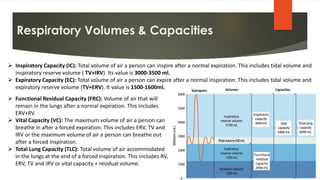 Frc Values Breathing & Exchange of Gases || CBSE CLASS 11TH NCERT | PDF