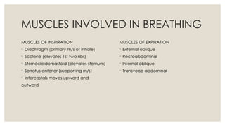 MUSCLES INVOLVED IN BREATHING
MUSCLES OF INSPIRATION
◦ Diaphragm (primary m/s of inhale)
◦ Scalene (elevates 1st two ribs)
◦ Sternocleidomastoid (elevates sternum)
◦ Serratus anterior (supporting m/s)
◦ Intercostals moves upward and
outward
MUSCLES OF EXPIRATION
◦ External oblique
◦ Rectoabdominal
◦ Internal oblique
◦ Transverse abdominal
 