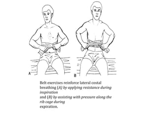 Belt exercises reinforce lateral costal 
breathing (A) by applying resistance during 
inspiration 
and (B) by assisting with pressure along the 
rib cage during 
expiration. 
 