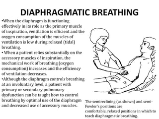 DIAPHRAGMATIC BREATHING
The semireclining (as shown) and semi-
Fowler’s positions are
comfortable, relaxed positions in which to
teach diaphragmatic breathing.
•When the diaphragm is functioning
effectively in its role as the primary muscle
of inspiration, ventilation is efficient and the
oxygen consumption of the muscles of
ventilation is low during relaxed (tidal)
breathing.
• When a patient relies substantially on the
accessory muscles of inspiration, the
mechanical work of breathing (oxygen
consumption) increases and the efficiency
of ventilation decreases.
•Although the diaphragm controls breathing
at an involuntary level, a patient with
primary or secondary pulmonary
dysfunction can be taught how to control
breathing by optimal use of the diaphragm
and decreased use of accessory muscles.
 