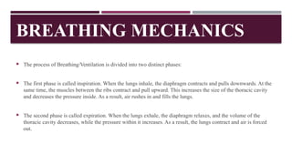BREATHING MECHANICS
 The process of Breathing/Ventilation is divided into two distinct phases:
 The first phase is called inspiration. When the lungs inhale, the diaphragm contracts and pulls downwards. At the
same time, the muscles between the ribs contract and pull upward. This increases the size of the thoracic cavity
and decreases the pressure inside. As a result, air rushes in and fills the lungs.
 The second phase is called expiration. When the lungs exhale, the diaphragm relaxes, and the volume of the
thoracic cavity decreases, while the pressure within it increases. As a result, the lungs contract and air is forced
out.
 