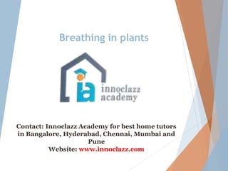 Breathing in plants
Contact: Innoclazz Academy for best home tutors
in Bangalore, Hyderabad, Chennai, Mumbai and
Pune
Website: www.innoclazz.com
 