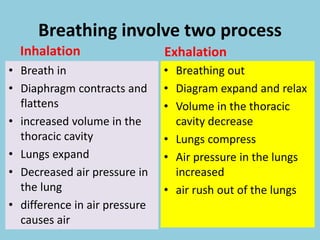 Breathing involve two process
Inhalation
• Breath in
• Diaphragm contracts and
flattens
• increased volume in the
thoracic cavity
• Lungs expand
• Decreased air pressure in
the lung
• difference in air pressure
causes air
Exhalation
• Breathing out
• Diagram expand and relax
• Volume in the thoracic
cavity decrease
• Lungs compress
• Air pressure in the lungs
increased
• air rush out of the lungs
 